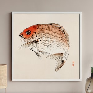 May include: A black and white ink illustration of a red fish with a detailed, textured body. The fish is depicted in a realistic style, with its scales and fins clearly visible. The illustration is framed in a white frame.