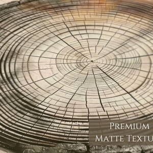 Pode incluir: Close-up de uma textura de gr&atilde;o de madeira com c&iacute;rculos conc&ecirc;ntricos, que se assemelha a uma se&ccedil;&atilde;o transversal de tronco de &aacute;rvore. A madeira tem uma cor marrom clara com linhas marrons mais escuras. O texto "PREMIUM MATTE TEXTURE" est&aacute; na parte inferior da imagem.