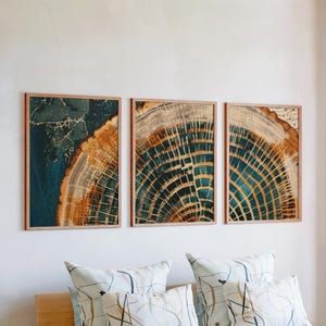 Puede incluir: Tres obras de arte enmarcadas que representan secciones transversales de troncos de árboles. Las obras muestran anillos concéntricos en tonos marrón, turquesa y beige, con marcos de madera. El arte está montado sobre una cama con cojines estampados.