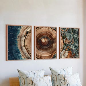 Puede incluir: Tres obras de arte enmarcadas que presentan imágenes en primer plano de patrones de vetas de madera. El arte incluye una sección azul y marrón, una sección marrón y una sección verde y marrón. Los marcos son de color marrón claro.
