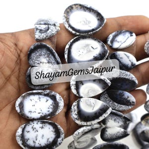 Puede incluir: Una colección de piedras preciosas de ágata dendrítica pulida con centros blancos, inclusiones negras en forma de helecho y bordes oscuros. Las piedras tienen varias formas ovaladas y de lágrima. El texto ShayamGemsJaipur es visible en las piedras.