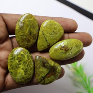 100% Natural Green Opal Cabochon Wholesale Price Lot Handamde Opal Rings Pendants Jewelry Making Stone Green Opal Crystal 5 Pcs 174 Ct Lot
