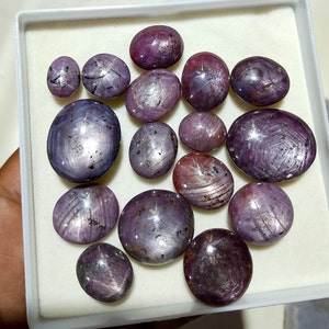 Puede incluir: Una colecci&oacute;n de 13 piedras preciosas de rub&iacute; estrella p&uacute;rpura de varios tama&ntilde;os y formas, expuestas en una caja blanca.