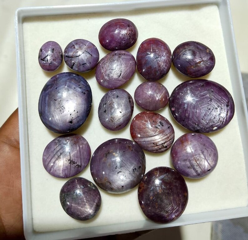 Puede incluir: Una colecci&oacute;n de 13 piedras preciosas de rub&iacute; estrella p&uacute;rpura de varios tama&ntilde;os y formas, expuestas en una caja blanca.