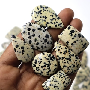 60% DE DESCONTO Jaspe dálmata natural Dot Jaspe dálmata Jaspe mistura de formas e tamanhos Cabochão Lote Jaspe feito à mão para fazer joias pedra preciosa