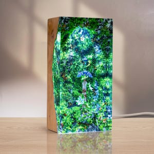 Link Master Sword Resin Lamp, The Legend of Zelda Night Light, Hero of Hyrule Decor, Handmade Resin Lamp, Zelda Gift for him Option 1