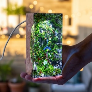 May include: A rectangular resin and wood lamp featuring an internal diorama of a blue-hilted sword embedded in a stone pedestal surrounded by green moss, foliage, and small white flowers, illuminated from within by an integrated light source.