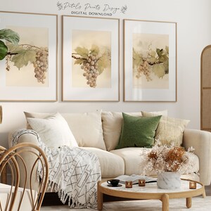 May include: Three framed prints of watercolor illustrations of grape vines with bunches of grapes. The prints are in a living room setting with a couch, coffee table, and a plant.