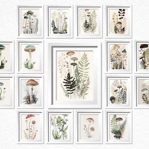 Botanical Prints Bundle of 16, Mushroom Instant Art, Printable Mushroom Art Bundle, Mushroom Printable Set, Nature Inspired Art Prints