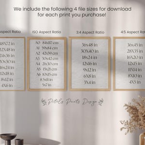 May include: A white background with four frames showing different aspect ratios and their corresponding print sizes in inches and centimeters. The frames are labeled 2:3 Aspect Ratio, ISO Aspect Ratio, 3:4 Aspect Ratio, and 4:5 Aspect Ratio. The text "Pitals Prints Design" is at the bottom of the image.