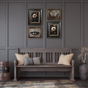 May include: A decorative wall arrangement featuring four framed botanical and insect prints above a wooden bench with pillows. A stack of vintage suitcases and a vase with dried flowers complete the scene. The color palette is muted with shades of gray and brown.