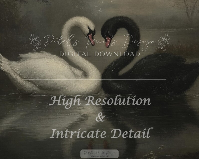 May include: A digital download print featuring two swans, one white and one black, facing each other with their necks forming a heart shape. The image has text that reads "Digital Download" and "High Resolution & Intricate Detail".