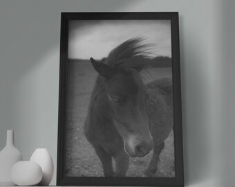 Cavallo fotografia Wall Art Print, stile Scandi monocromatico, arredamento casa colonica, poster in bianco e nero, arte per soggiorno, arredamento minimalista