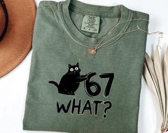 Funny Cat Shirt What Saying| 67 Knocked over Tee| Funny 67 Meme shirt| Cat Lover T-shirt| Humorous Gift for Pet Owners| Cute Black Cat Shirt