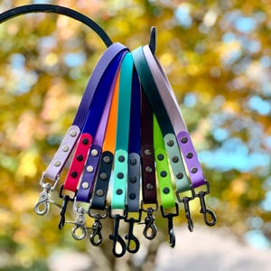May include: A collection of multi-colored dog leashes made from a smooth, flat material. Each leash features a metal swivel snap hook at the bottom and is secured with silver-toned rivets. The colors include purple, pink, orange, teal, black, gray, dark brown, lime green, and light green.