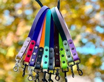 May include: A collection of multi-colored dog leashes made from a smooth, flat material. Each leash features a metal swivel snap hook at the bottom and is secured with silver-toned rivets. The colors include purple, pink, orange, teal, black, gray, dark brown, lime green, and light green.