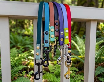 May include: A collection of six dog leashes in teal, light blue, brown, black, purple, and red. Each leash features a smooth, flat strap with two metal rivets securing the handle and a metal swivel snap hook at the bottom end.