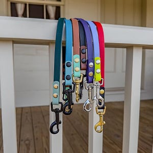 May include: A set of eight colorful dog leashes with black metal clips. The leashes are made of leather and have different colored accents.