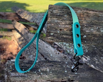 BioThane Short Dog Leash: Waterproof Training Traffic Lead