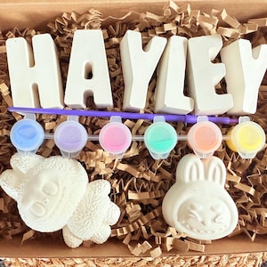 May include: A craft kit in a cardboard box, featuring the name "HAYLEY" in large, white block letters. The kit includes paint pots in various colors, a paintbrush, and two unpainted animal figurines: a sheep and a bunny.