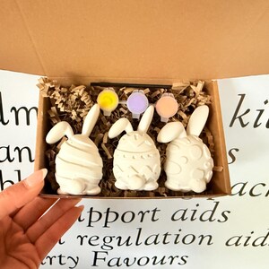Può includere: Un kit artigianale con tre figure di coniglietti pasquali in ceramica bianca in una scatola di cartone, con piccoli vasetti di vernice gialla, lilla e pesca. I coniglietti hanno diversi motivi in rilievo.