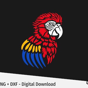 Colorful Macaw Parrot SVG Mini Bundle. DIY T-Shirt Design. For Black and Dark Backgrounds. Cricut Friendly. Digital Download.