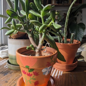 Peut inclure: Une plante succulente en pot avec des feuilles vertes dans un pot en terre cuite avec un motif floral peint à la main. Le pot a un fond orange vif avec des fleurs rouges, vertes, bleues et blanches.