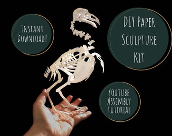 DIY Bird Skeleton Papercraft Activity Kit | 3D Crow Paper Sculpture PDF SVG Template | Printable Papercraft and Tutorial