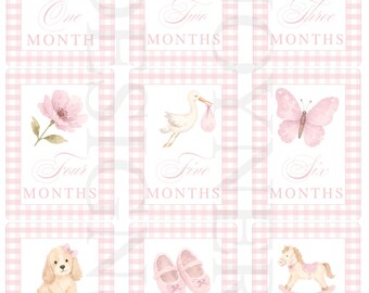 Mijlpaalkaarten voor zuidelijke baby's