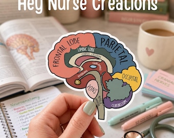 Puede incluir: Una pegatina troquelada que muestra una sección transversal anatómica a color del cerebro humano. El diseño incluye secciones etiquetadas como el lóbulo frontal, parietal, occipital, cerebelo, puente, tálamo, hipotálamo y cuerpo calloso.