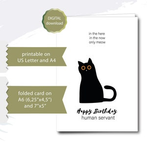 Printable Birthday Card Cat Digital Download Funny Cute Happy Birthday digital greeting card Birthday Card Cat instant download