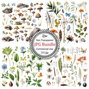 May include: A collection of watercolor illustrations featuring various botanical elements, including mushrooms, flowers, leaves, and insects. The illustrations are set against a white background and are perfect for crafting and design projects.