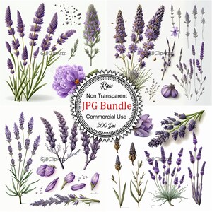 Lavender Watercolor Collection: Delicate Floral Art, Ideal for Home Decor, Stationery, and Wedding Invitations High-quality, 300 dpi JPG