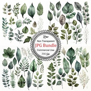 Muted Green Leaves Watercolor Collection: Gentle Illustrations for Invitations, Prints, and Home Decor, Soft Green Leaves, 300 dpi JPG