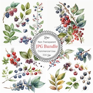 Delightful Berries Clipart: Fresh Fruit Illustrations, Watercolor, High-Quality JPGs, 300 dpi, Wall Art, Commercial Use, Berry Clipart,