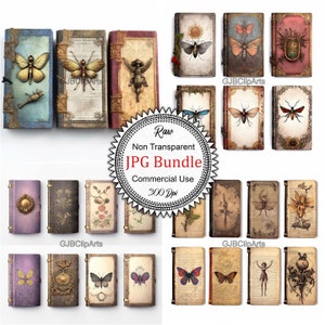 Fairy Magic Mini Book Back Covers Clipart, Junk Journaling Paper Packs, Journaling Paper, , Journaling Kit, Journaling Personalized,