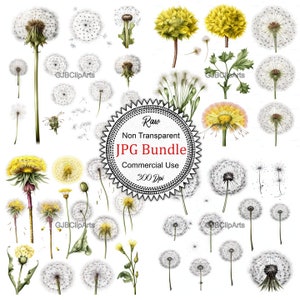 Dandelion Clipart Digital Stickers, Digital Clipart, Printable Stickers, Scrapbooking Supplies, Art journaling supplies.