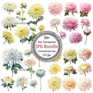 Buttercup Clipart Digital Stickers, Digital Clipart, Printable Stickers, Scrapbooking Supplies, Art journaling supplies.