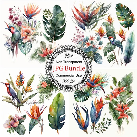 Watercolor Tropical Flora Fauna Bouquet Collection Lush and Exotic Botanical Illustrations Perfect for Invitations, Wall Art Designs
