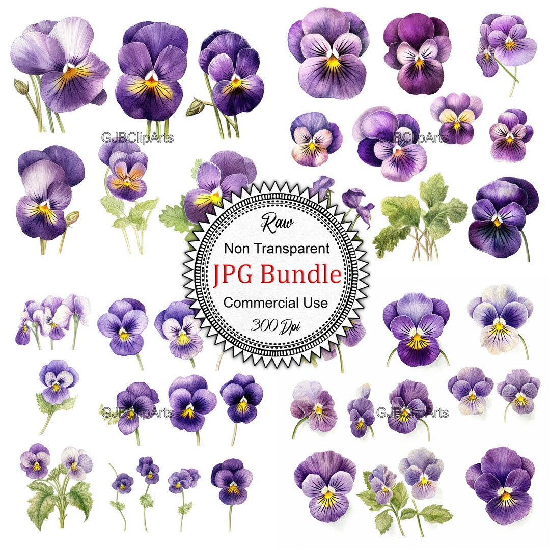 Viola Flower Clipart Journaling Tracker Scrapbooks Wedding Etsy
