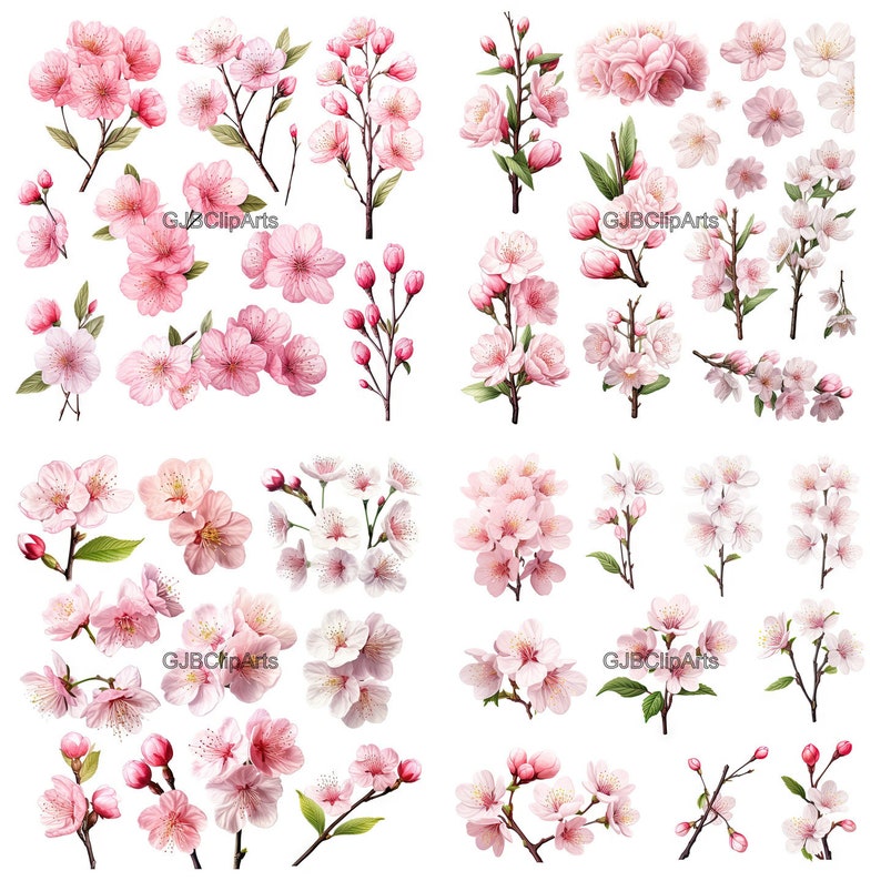 Cherry Blossom Clipart Digital Stickers Digital Clipart - Etsy