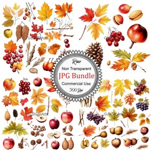 Autumnal Equinox Events Clipart, Harvest Clipart, Leaf Clipart, Scrapbookhere, Journaling Doodle Icon, Journaling Template Goodnotes.