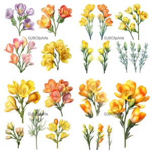 Freesia Labelled Freesia Clipart Digital Stickers, Digital Clipart, Printable Stickers ...