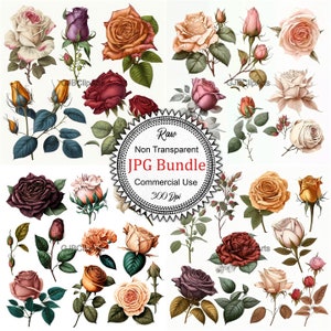 Illustrations of Different Types of Roses Collection: Elegant and Romantic Clipart Illustrations of Beautiful Rose Varieties, 300 dpi