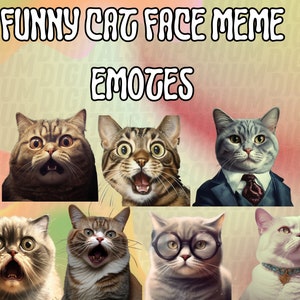 Puede incluir: Una colección de seis emoticonos de memes de caras de gato divertidas. Los gatos tienen diferentes expresiones, incluyendo sorprendidos, conmocionados y serios. Los emoticonos son perfectos para agregar humor a tus conversaciones en línea.