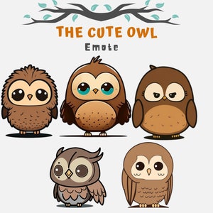 Cute Owl Twitch Emotes | Discord Emotes | YouTube Emotes | Facebook Emotes |Cute Owl | Cute Emotes, Night Owl, Bird, Barn Owl, Cute Animal