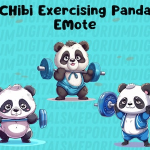 Puede incluir: Tres osos panda de dibujos animados que llevan ropa de entrenamiento azul y blanca están levantando pesas. Los pandas están sobre un fondo azul con el texto "Chibi Exercising Panda Emote" en la parte superior.