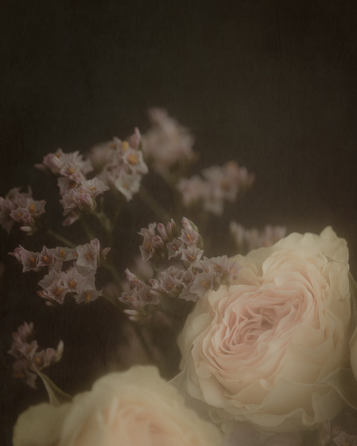 Fine Rose Fine Art Roses Iv - Etsy