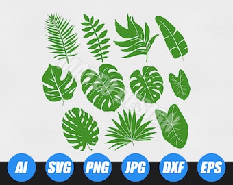 Jungle Svg Monstera Leaf Svg Clipart Tropical Leaves Clipart Jungle ...