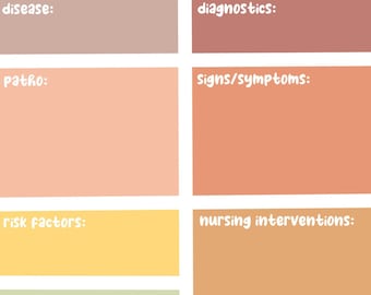 Colorful Nursing Concept Map Template (Digital Download)
